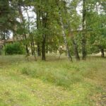 2012 Wanderung Olympisches Dorf